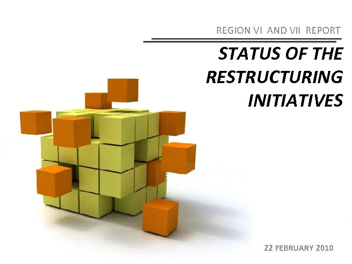 REGION VI AND VII REPORT STATUS OF THE RESTRUCTURING INITIATIVES 22 FEBRUARY 2010 