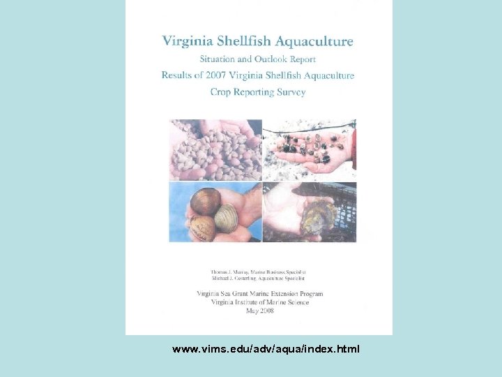 www. vims. edu/adv/aqua/index. html 