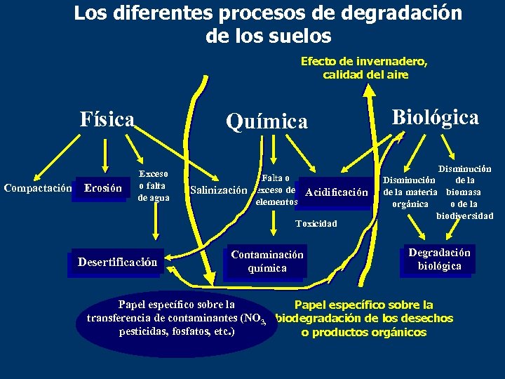 Los diferentes procesos de degradación de los suelos Efecto de invernadero, calidad del aire