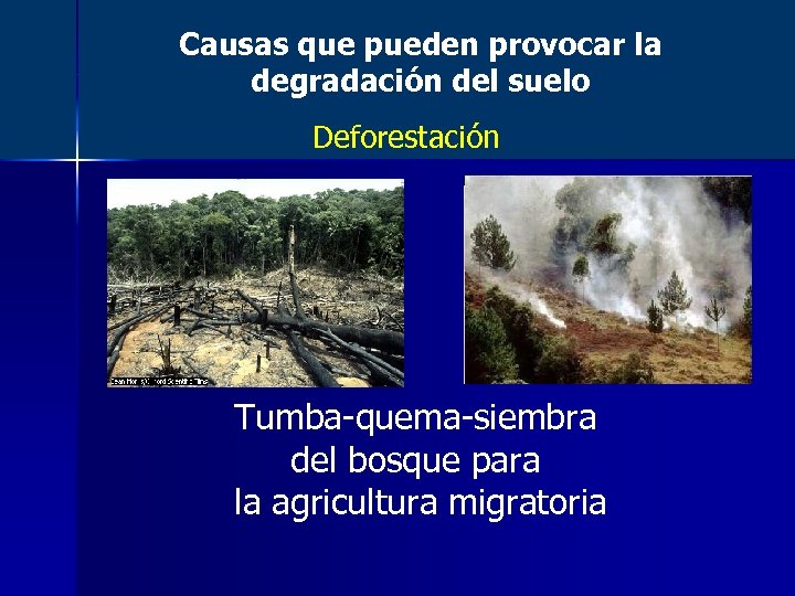 Causas que pueden provocar la degradación del suelo Deforestación Tumba-quema-siembra del bosque para la