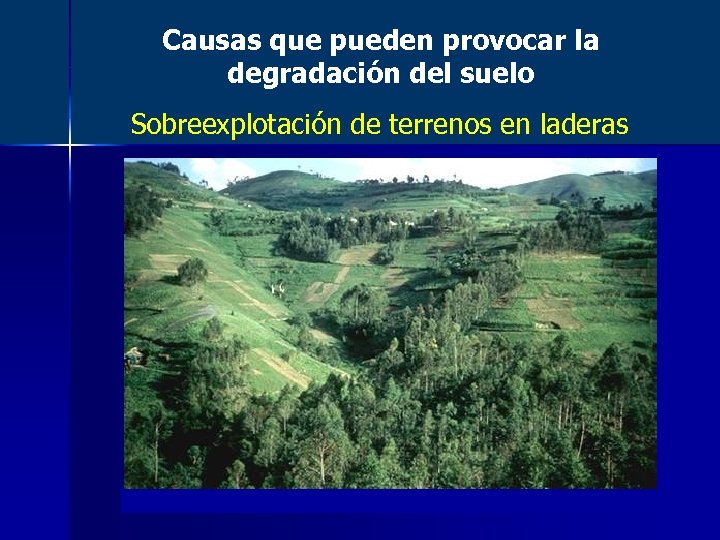 Causas que pueden provocar la degradación del suelo Sobreexplotación de terrenos en laderas 