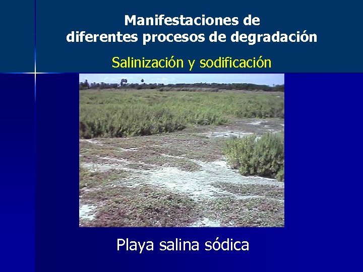 Manifestaciones de diferentes procesos de degradación Salinización y sodificación Playa salina sódica 