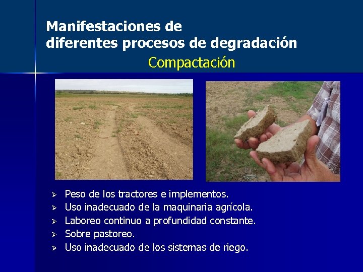 Manifestaciones de diferentes procesos de degradación Compactación Ø Ø Ø Peso de los tractores