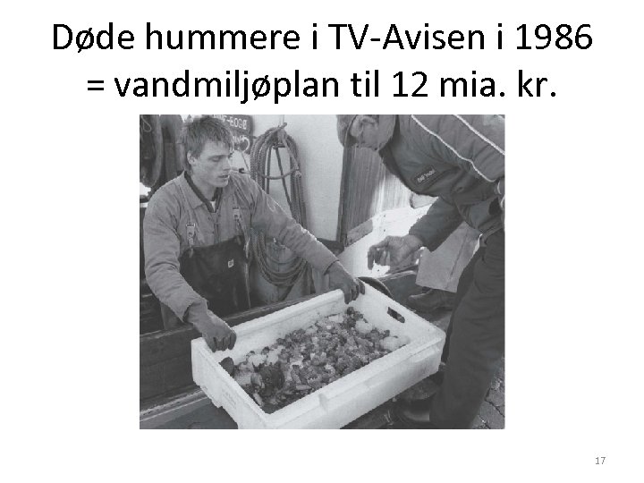Døde hummere i TV-Avisen i 1986 = vandmiljøplan til 12 mia. kr. 17 