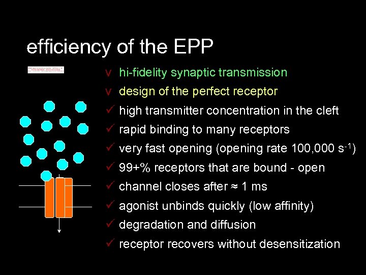 efficiency of the EPP v hi-fidelity synaptic transmission v design of the perfect receptor