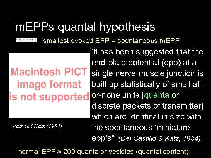 m. EPPs quantal hypothesis smallest evoked EPP = spontaneous m. EPP Fatt and Katz