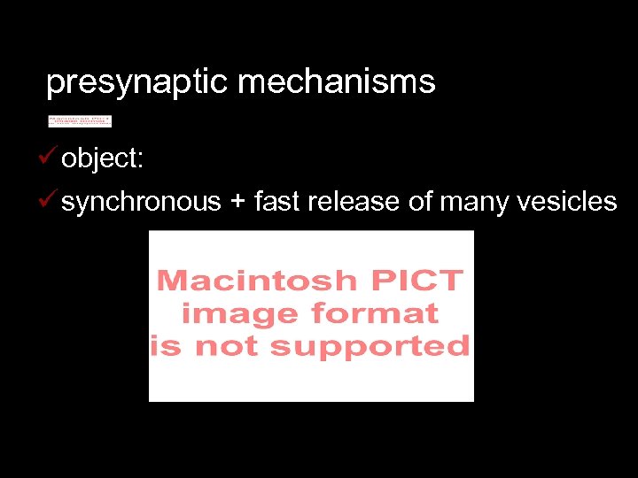 presynaptic mechanisms ü object: ü synchronous + fast release of many vesicles 