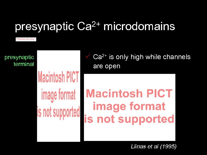 presynaptic Ca 2+ microdomains presynaptic terminal ü Ca 2+ is only high while channels