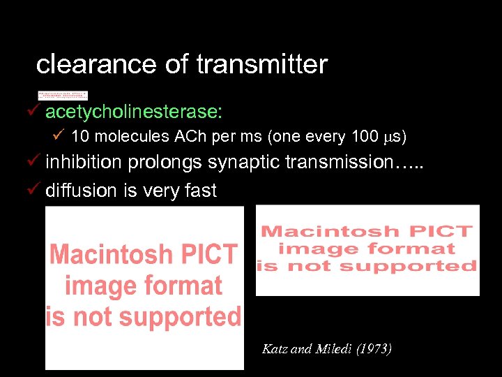 clearance of transmitter ü acetycholinesterase: ü 10 molecules ACh per ms (one every 100