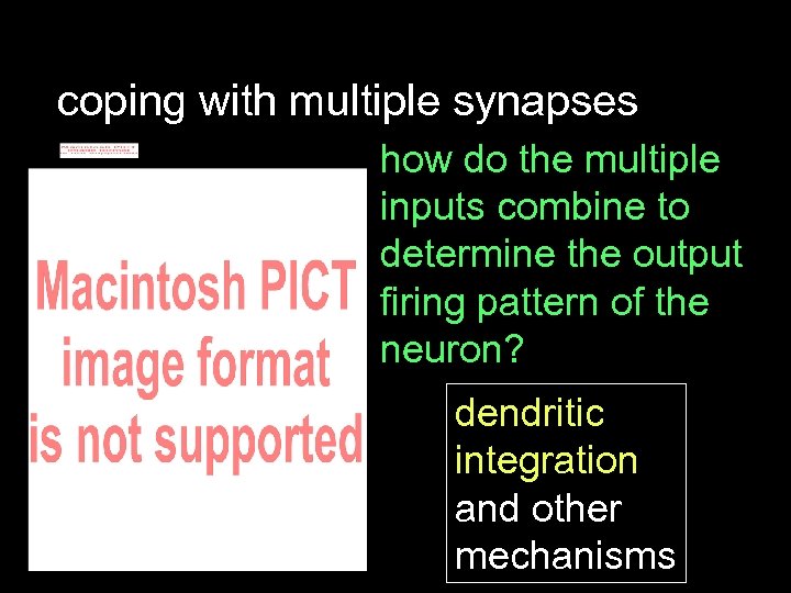 coping with multiple synapses how do the multiple inputs combine to determine the output