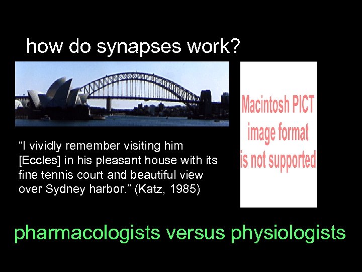 how do synapses work? “I vividly remember visiting him [Eccles] in his pleasant house