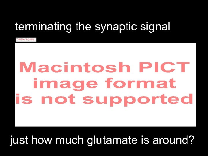 terminating the synaptic signal just how much glutamate is around? 
