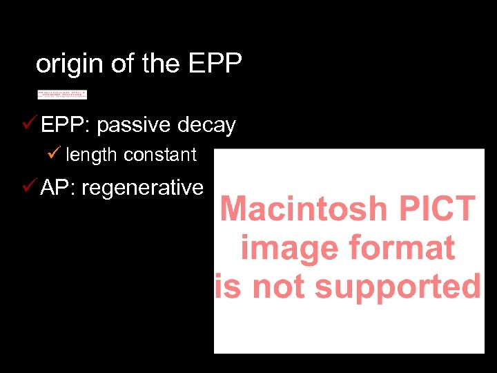 origin of the EPP ü EPP: passive decay ü length constant ü AP: regenerative