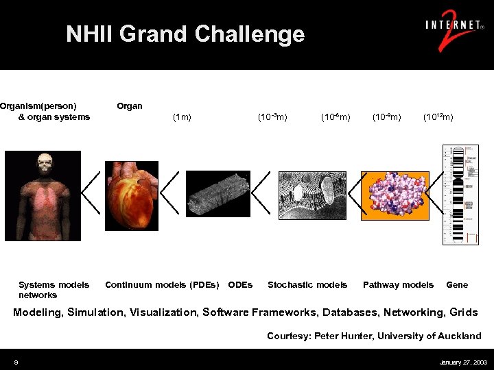 NHII Grand Challenge Organism(person) Organ & organ systems (1 m) (10 -3 m) (10