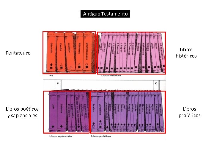 Antiguo Testamento Pentateuco Libros poéticos y sapienciales Libros históricos Libros proféticos 