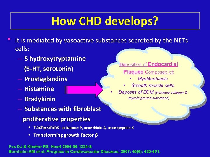 How CHD develops? • It is mediated by vasoactive substances secreted by the NETs