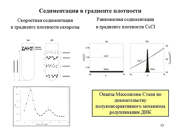 Коагуляция седиментация. Процесс седиментации. Кривая седиментации. Скоростная седиментация.