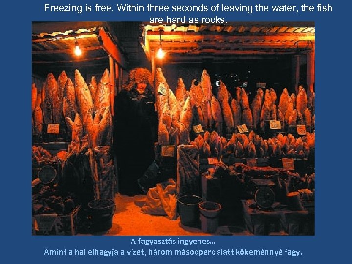 Freezing is free. Within three seconds of leaving the water, the fish are hard