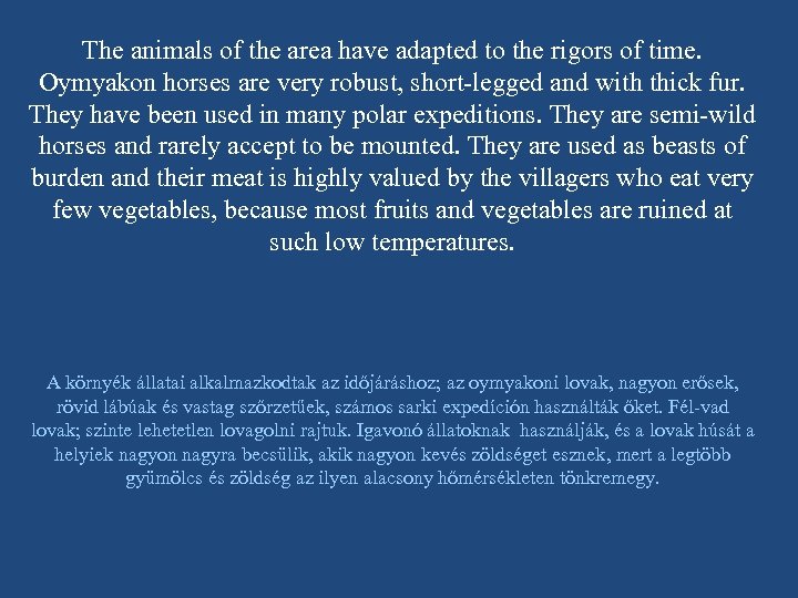 The animals of the area have adapted to the rigors of time. Oymyakon horses