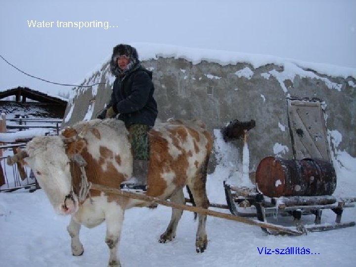 Water transporting… Víz-szállítás… 