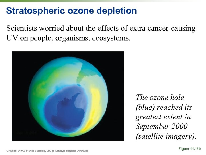 Stratospheric ozone depletion Scientists worried about the effects of extra cancer-causing UV on people,