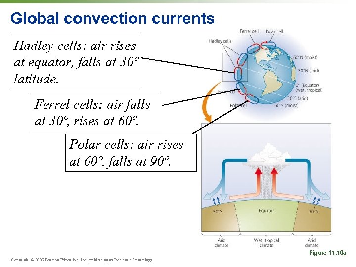 Global convection currents Hadley cells: air rises at equator, falls at 30º latitude. Ferrel