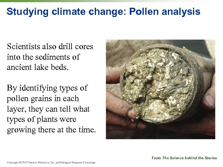 Studying climate change: Pollen analysis Scientists also drill cores into the sediments of ancient