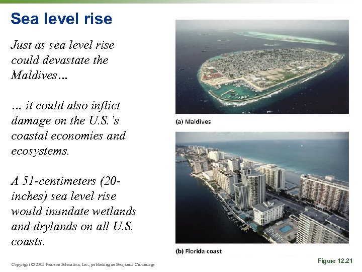 Sea level rise Just as sea level rise could devastate the Maldives… … it