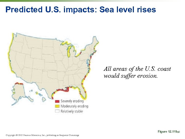 Predicted U. S. impacts: Sea level rises All areas of the U. S. coast