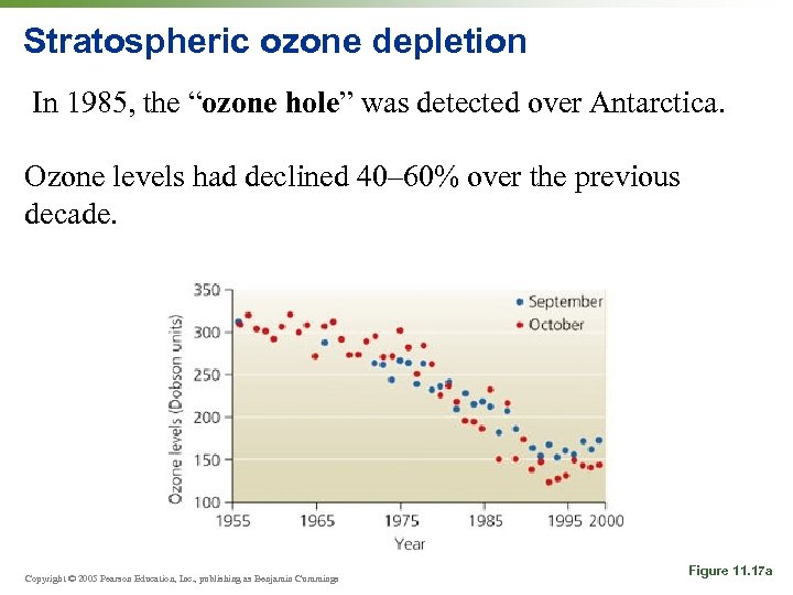 Stratospheric ozone depletion In 1985, the “ozone hole” was detected over Antarctica. Ozone levels