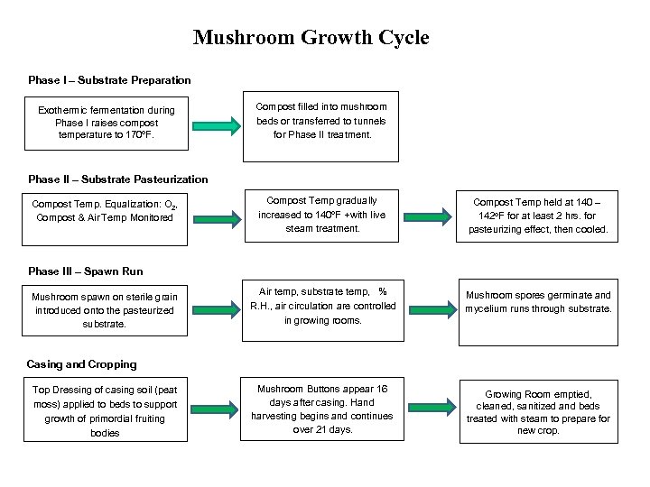 Mushroom Growth Cycle Phase I – Substrate Preparation Compost filled into mushroom beds or