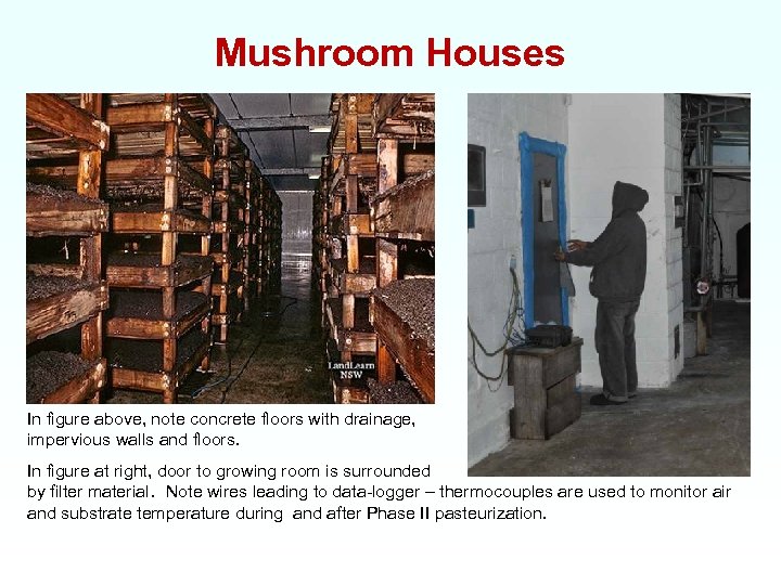 Mushroom Houses In figure above, note concrete floors with drainage, impervious walls and floors.