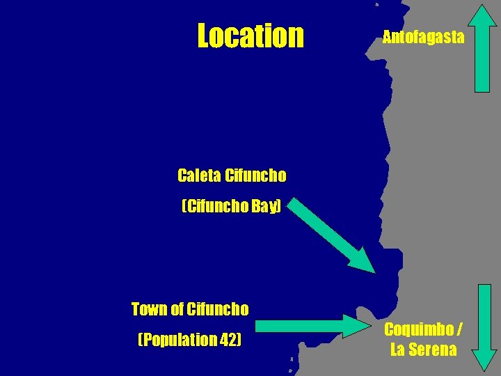 Location Antofagasta Caleta Cifuncho (Cifuncho Bay) Town of Cifuncho (Population 42) Coquimbo / La