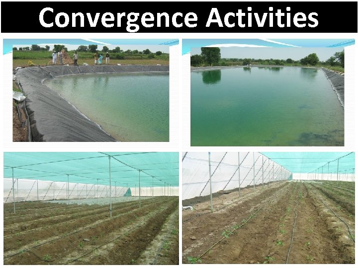 Convergence Activities 
