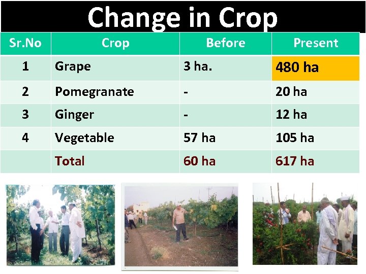Change in Crop Sr. No Crop Before Present 1 Grape 3 ha. 480 ha