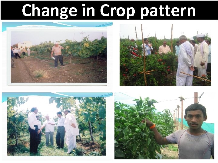 Change in Crop pattern 