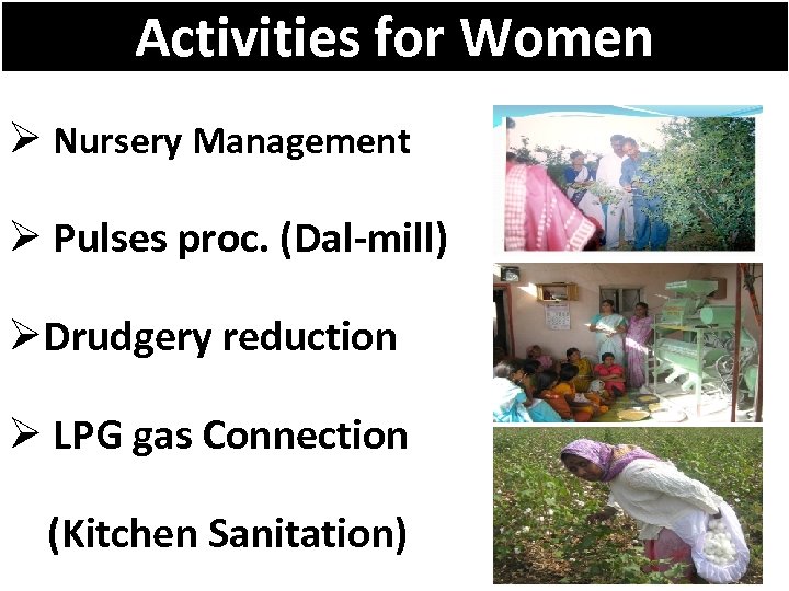 Activities for Women Ø Nursery Management Ø Pulses proc. (Dal-mill) ØDrudgery reduction Ø LPG