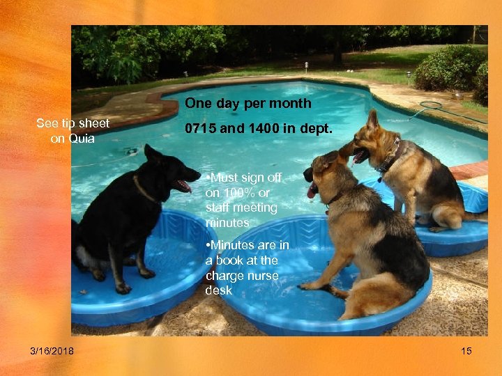 One day per month See tip sheet on Quia 0715 and 1400 in dept.