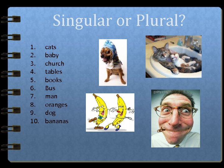 Singular or Plural? 1. 2. 3. 4. 5. 6. 7. 8. 9. 10. cats