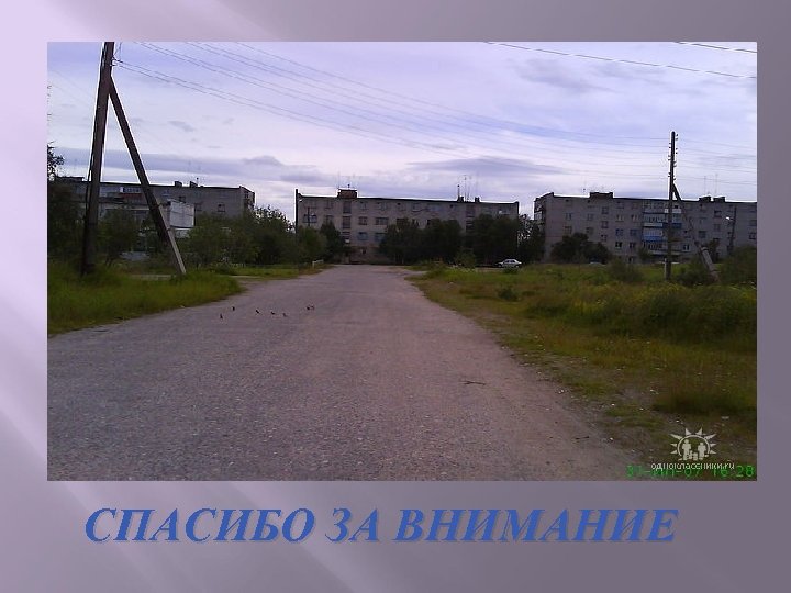 СПАСИБО ЗА ВНИМАНИЕ 