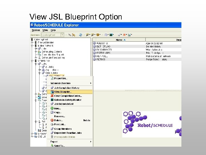 View JSL Blueprint Option 