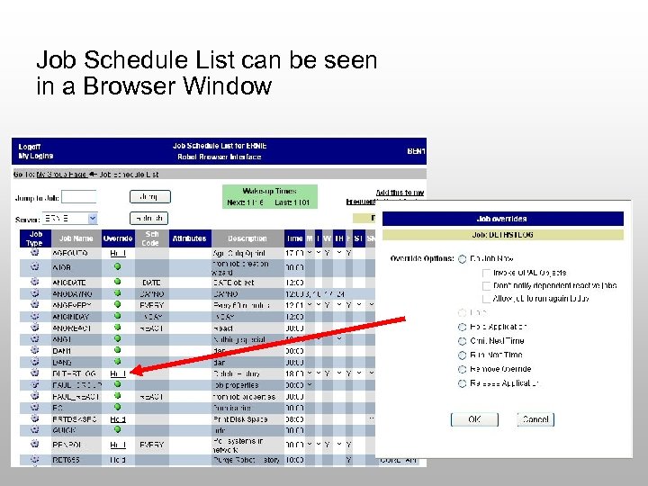 Job Schedule List can be seen in a Browser Window 