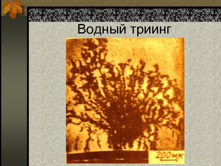 Водный триинг 