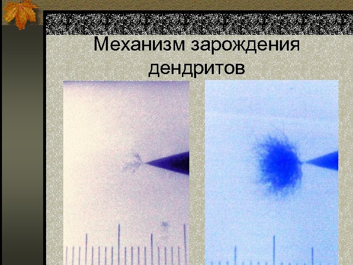 Механизм зарождения дендритов 
