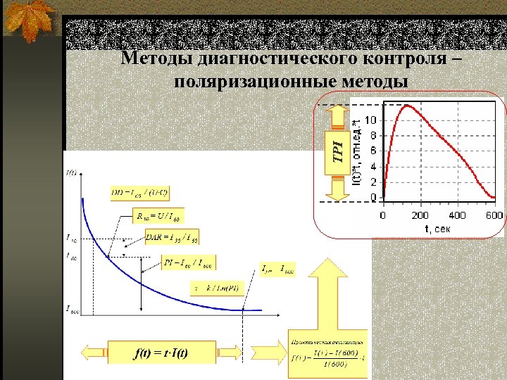 TPI Методы диагностического контроля – поляризационные методы 53 