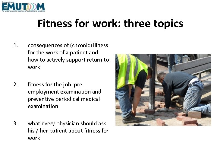 Fitness for work: three topics 1. consequences of (chronic) illness for the work of