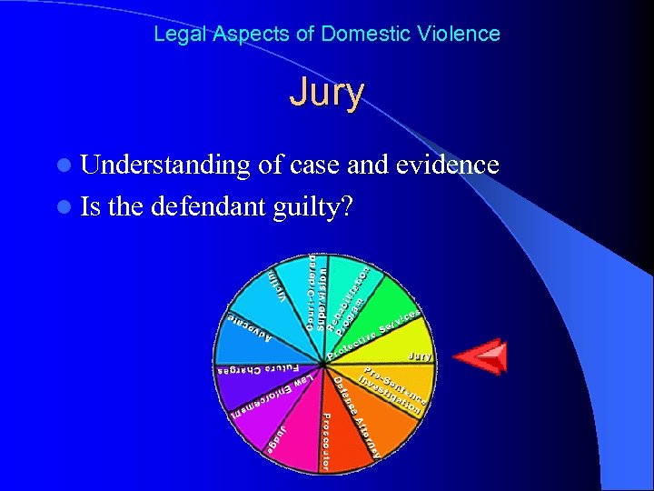 Legal Aspects of Domestic Violence Jury l Understanding of case and evidence l Is