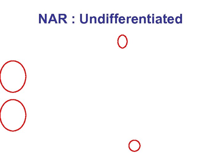 NAR : Undifferentiated 