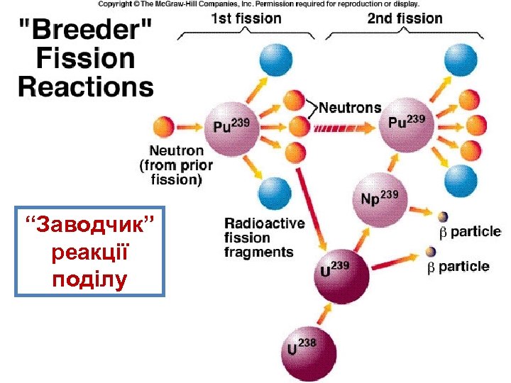 “Заводчик” реакції поділу 