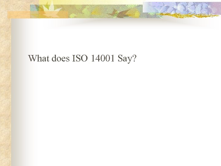 What does ISO 14001 Say? 